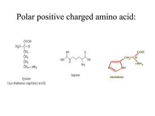 Polar positive charged amino acid:
 
