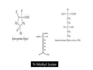 N-Methyl lysine
 