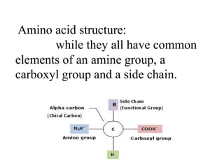 Amino acid structure:
while they all have common
elements of an amine group, a
carboxyl group and a side chain.
 