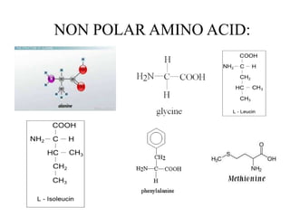 NON POLAR AMINO ACID:
 