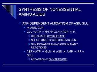 SYNTHESIS OF NONESSENTIAL
AMINO ACIDS
 ATP-DEPENDENT AMIDATION OF ASP, GLU
  ASN, GLN
 GLU + ATP + NH3  GLN + ADP + Pi
 GLUTAMINE SYNTHETASE
 NH3 IS TOXIC; IT’S STORED AS GLN
 GLN DONATES AMINO GPS IN MANY
REACTIONS
 ASP + ATP + GLN  ASN + AMP + PPi +
GLU
 ASPARAGINE SYNTHETASE
 