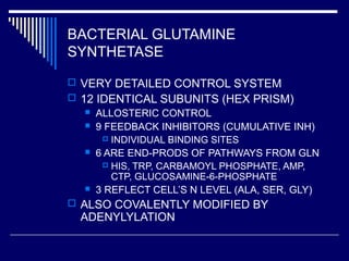 BACTERIAL GLUTAMINE
SYNTHETASE
 VERY DETAILED CONTROL SYSTEM
 12 IDENTICAL SUBUNITS (HEX PRISM)
 ALLOSTERIC CONTROL
 9 FEEDBACK INHIBITORS (CUMULATIVE INH)
 INDIVIDUAL BINDING SITES
 6 ARE END-PRODS OF PATHWAYS FROM GLN
 HIS, TRP, CARBAMOYL PHOSPHATE, AMP,
CTP, GLUCOSAMINE-6-PHOSPHATE
 3 REFLECT CELL’S N LEVEL (ALA, SER, GLY)
 ALSO COVALENTLY MODIFIED BY
ADENYLYLATION
 