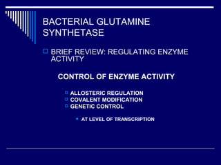 BACTERIAL GLUTAMINE
SYNTHETASE
 BRIEF REVIEW: REGULATING ENZYME
ACTIVITY
CONTROL OF ENZYME ACTIVITY
 ALLOSTERIC REGULATION
 COVALENT MODIFICATION
 GENETIC CONTROL
 AT LEVEL OF TRANSCRIPTION
 