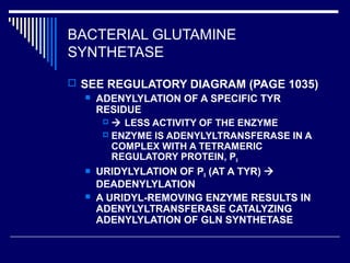 BACTERIAL GLUTAMINE
SYNTHETASE
 SEE REGULATORY DIAGRAM (PAGE 1035)
 ADENYLYLATION OF A SPECIFIC TYR
RESIDUE
  LESS ACTIVITY OF THE ENZYME
 ENZYME IS ADENYLYLTRANSFERASE IN A
COMPLEX WITH A TETRAMERIC
REGULATORY PROTEIN, PII
 URIDYLYLATION OF PII (AT A TYR) 
DEADENYLYLATION
 A URIDYL-REMOVING ENZYME RESULTS IN
ADENYLYLTRANSFERASE CATALYZING
ADENYLYLATION OF GLN SYNTHETASE
 