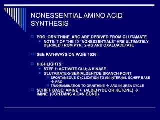 NONESSENTIAL AMINO ACID
SYNTHESIS
 PRO, ORNITHINE, ARG ARE DERIVED FROM GLUTAMATE
 NOTE: 7 OF THE 10 “NONESSENTIALS” ARE ULTIMATELY
DERIVED FROM PYR, α-KG AND OXALOACETATE
 SEE PATHWAYS ON PAGE 1036
 HIGHLIGHTS:
 STEP 1: ACTIVATE GLU; A KINASE
 GLUTAMATE-5-SEMIALDEHYDE BRANCH POINT
 SPONTANEOUS CYCLIZATION TO AN INTERNAL SCHIFF BASE
 PRO
 TRANSAMINATION TO ORNITHINE  ARG IN UREA CYCLE
 SCHIFF BASE: AMINE + (ALDEHYDE OR KETONE) 
IMINE (CONTAINS A C=N BOND)
 