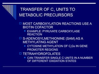 TRANSFER OF C1 UNITS TO
METABOLIC PRECURSORS
 MOST CARBOXYLATION REACTIONS USE A
BIOTIN COFACTOR
 EXAMPLE: PYRUVATE CARBOXYLASE
REACTION
 S-ADENOSYLMETHIONINE (SAM) AS A
METHYLATING AGENT
 CYTOSINE METHYLATION OF CpGs IN GENE
PROMOTER REGIONS
 TETRAHYDROFOLATES
 CAN TRANSFER SINGLE C UNITS IN A NUMBER
OF DIFFERENT OXIDATION STATES
 