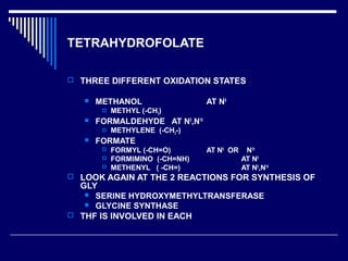 TETRAHYDROFOLATE
 THREE DIFFERENT OXIDATION STATES
 METHANOL AT N5
 METHYL (-CH3)
 FORMALDEHYDE AT N5
,N10
 METHYLENE (-CH2-)
 FORMATE
 FORMYL (-CH=O) AT N5
OR N10
 FORMIMINO (-CH=NH) AT N5
 METHENYL ( -CH=) AT N5
,N10
 LOOK AGAIN AT THE 2 REACTIONS FOR SYNTHESIS OF
GLY
 SERINE HYDROXYMETHYLTRANSFERASE
 GLYCINE SYNTHASE
 THF IS INVOLVED IN EACH
 