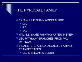 THE PYRUVATE FAMILY
 “BRANCHED CHAIN AMINO ACIDS”
 LEU
 ILE
 VAL
 VAL, ILE: SAME PATHWAY AFTER 1st
STEP
 LEU PATHWAY BRANCHES FROM VAL
PATHWAY
 FINAL STEPS ALL CATALYZED BY AMINO-
TRANSFERASES
 GLU IS THE AMINO DONOR
 