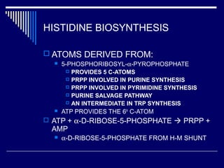 HISTIDINE BIOSYNTHESIS
 ATOMS DERIVED FROM:
 5-PHOSPHORIBOSYL-α-PYROPHOSPHATE
 PROVIDES 5 C-ATOMS
 PRPP INVOLVED IN PURINE SYNTHESIS
 PRPP INVOLVED IN PYRIMIDINE SYNTHESIS
 PURINE SALVAGE PATHWAY
 AN INTERMEDIATE IN TRP SYNTHESIS
 ATP PROVIDES THE 6th
C-ATOM
 ATP + α-D-RIBOSE-5-PHOSPHATE  PRPP +
AMP
 α-D-RIBOSE-5-PHOSPHATE FROM H-M SHUNT
 
