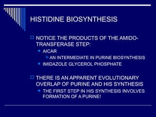 HISTIDINE BIOSYNTHESIS
 NOTICE THE PRODUCTS OF THE AMIDO-
TRANSFERASE STEP:
 AICAR
 AN INTERMEDIATE IN PURINE BIOSYNTHESIS
 IMIDAZOLE GLYCEROL PHOSPHATE
 THERE IS AN APPARENT EVOLUTIONARY
OVERLAP OF PURINE AND HIS SYNTHESIS
 THE FIRST STEP IN HIS SYNTHESIS INVOLVES
FORMATION OF A PURINE!
 