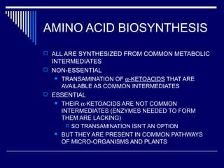AMINO ACID BIOSYNTHESIS
 ALL ARE SYNTHESIZED FROM COMMON METABOLIC
INTERMEDIATES
 NON-ESSENTIAL
 TRANSAMINATION OF α-KETOACIDS THAT ARE
AVAILABLE AS COMMON INTERMEDIATES
 ESSENTIAL
 THEIR α-KETOACIDS ARE NOT COMMON
INTERMEDIATES (ENZYMES NEEDED TO FORM
THEM ARE LACKING)
 SO TRANSAMINATION ISN’T AN OPTION
 BUT THEY ARE PRESENT IN COMMON PATHWAYS
OF MICRO-ORGANISMS AND PLANTS
 