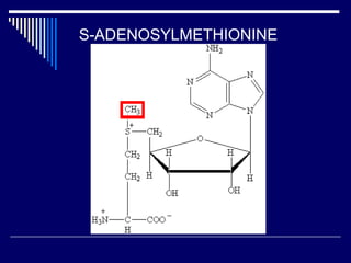 S-ADENOSYLMETHIONINE
 