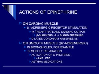ACTIONS OF EPINEPHRINE
 ON CARDIAC MUSCLE
 β1 -ADRENERGIC RECEPTOR STIMULATION
  ↑HEART RATE AND CARDIAC OUTPUT
 β-BLOCKERS  ↓ BLOOD PRESSURE
 DILATES CORONARY ARTERIES (β2)
 ON SMOOTH MUSCLE (β2-ADRENERGIC)
 IN BRONCHIOLES, FOR EXAMPLE
  MUSCLE RELAXATION
 ACTIVATION OF G-PROTEINS
 cAMP , ETC
 ASTHMA MEDICATIONS
 