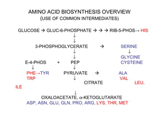 AMINO ACID BIOSYNTHESIS OVERVIEW
(USE OF COMMON INTERMEDIATES)
GLUCOSE  GLUC-6-PHOSPHATE    RIB-5-PHOS→ HIS
↓
↓
3-PHOSPHOGLYCERATE  SERINE
↓ ↓
↓ GLYCINE
E-4-PHOS + PEP CYSTEINE
↓ ↓
PHE→TYR PYRUVATE  ALA
TRP ↓ VAL
CITRATE LEU,
ILE
↓
OXALOACETATE, α-KETOGLUTARATE
ASP, ASN, GLU, GLN, PRO, ARG, LYS, THR, MET
 