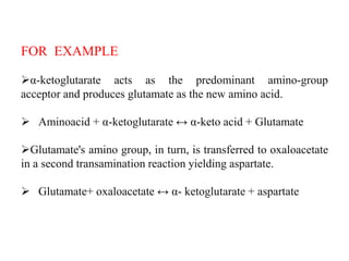 FOR EXAMPLE
α-ketoglutarate acts as the predominant amino-group
acceptor and produces glutamate as the new amino acid.
 Aminoacid + α-ketoglutarate ↔ α-keto acid + Glutamate
Glutamate's amino group, in turn, is transferred to oxaloacetate
in a second transamination reaction yielding aspartate.
 Glutamate+ oxaloacetate ↔ α- ketoglutarate + aspartate
 