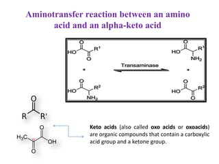 Aminotransfer reaction between an amino
acid and an alpha-keto acid
Keto acids (also called oxo acids or oxoacids)
are organic compounds that contain a carboxylic
acid group and a ketone group.
 