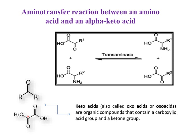 Amino acid synthesis | PPTX