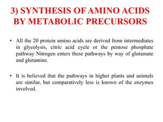3) SYNTHESIS OF AMINO ACIDS
BY METABOLIC PRECURSORS
• All the 20 protein amino acids are derived from intermediates
in glycolysis, citric acid cycle or the pentose phosphate
pathway Nitrogen enters these pathways by way of glutamate
and glutamine.
• It is believed that the pathways in higher plants and animals
are similar, but comparatively less is known of the enzymes
involved.
 