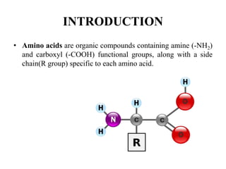 INTRODUCTION
• Amino acids are organic compounds containing amine (-NH2)
and carboxyl (-COOH) functional groups, along with a side
chain(R group) specific to each amino acid.
 