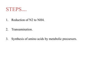 STEPS….
1. Reduction of N2 to NH4.
2. Transamination.
3. Synthesis of amino acids by metabolic precursors.
 