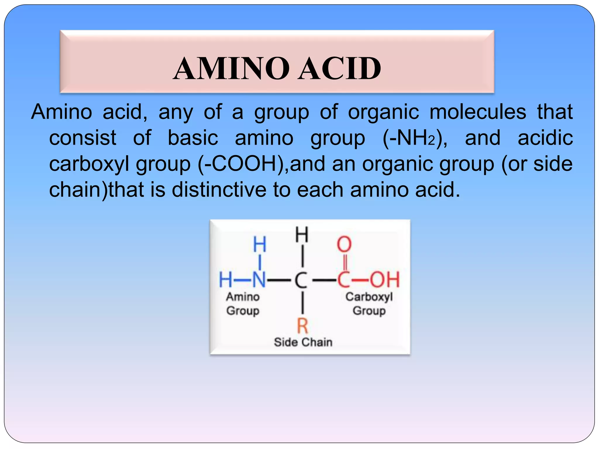Amino acid trick PPT