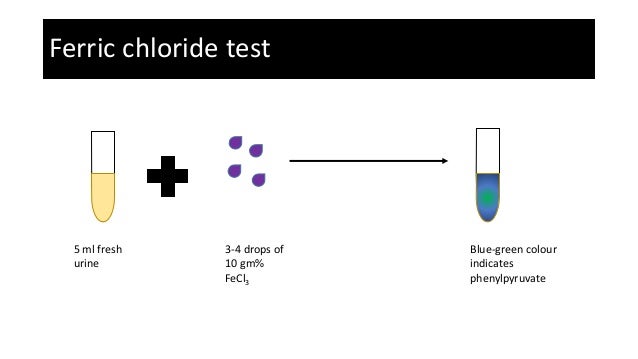 ferric chloride test ferric chloride test