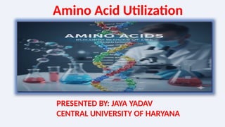 Amino acids and its Metabolic Processes | PPTX