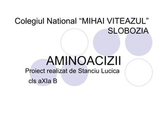 Colegiul National “MIHAI VITEAZUL” SLOBOZIA AMINOACIZII  Proiect realizat de Stanciu Lucica  cls aXIa B   