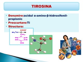    Denumire:acidul α-amino-β-hidroxifenil-
    propionic
   Prescurtare:Ti
   Structura:
 