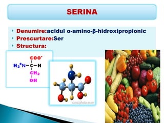    Denumire:acidul α-amino-β-hidroxipropionic
   Prescurtare:Ser
   Structura:
 