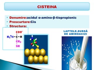    Denumire:acidul α-amino-β-tiopropionic
   Prescurtare:Cis
   Structura:
                                  LAPTELE.SURSĂ
                                  DE AMINOACIZI
 