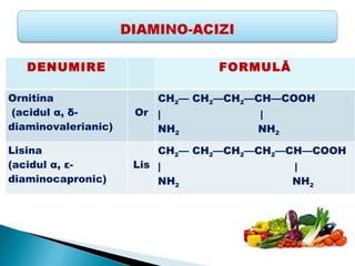 DENUMIRE                    FORMULĂ

Ornitina                CH2— CH2—CH2—CH—COOH
(acidul α, δ-        Or |             |
diaminovalerianic)      NH2          NH2

Lisina                  CH2— CH2—CH2—CH2—CH—COOH
(acidul α, ε-        Lis |                |
diaminocapronic)         NH2              NH2
 