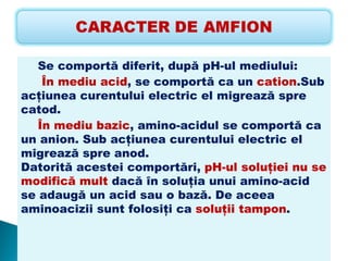 Se comportă diferit, după pH-ul mediului:
    În mediu acid, se comportă ca un cation.Sub
acţiunea curentului electric el migrează spre
catod.
   În mediu bazic, amino-acidul se comportă ca
un anion. Sub acţiunea curentului electric el
migrează spre anod.
Datorită acestei comportări, pH-ul soluţiei nu se
modifică mult dacă în soluţia unui amino-acid
se adaugă un acid sau o bază. De aceea
aminoacizii sunt folosiţi ca soluţii tampon.
 
