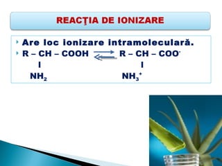    Are loc ionizare intramoleculară.
   R – CH – COOH      R – CH – COO-
        l                   l
     NH2                NH3+
 