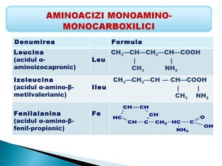 Denumirea                   Formula
Leucina                  CH3—CH—CH2—CH—COOH
(acidul α-           Leu      |      |
aminoizocapronic)            CH3    NH2
Izoleucina                  CH3—CH2—CH — CH—COOH
(acidul α-amino-β-   Ileu                 |   |
metilvalerianic)                          CH3 NH2
                                 CH    CH
Fenilalanina         Fe                     CH
                            HC                                O
(acidul α-amino-β-                CH   C     CH2   HC     C
                                                              OH
fenil-propionic)                                    NH2
 