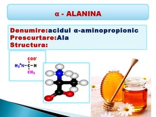 Denumire:acidul α-aminopropionic
Prescurtare:Ala
Structura:
 