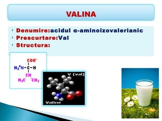    Denumire:acidul α-aminoizovalerianic
   Prescurtare:Val
   Structura:
 