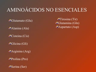 AMINOÁCIDOS NO ESENCIALES Glutamato (Glu) Alanina (Ala) Cisteina (Cis) Glicina (Gli) Arginina (Arg) Prolina (Pro) Serina (Ser) Tirosina (Tir) Glutamina (Gln) Aspartato (Asp) 
