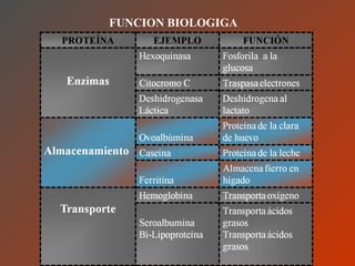 FUNCION BIOLOGIGA 