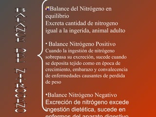 Balance del Nitrógeno en equilibrio  Excreta cantidad de nitrogeno igual a la ingerida, animal adulto  Balance Nitrógeno Positivo   Cuando la ingestión de nitrógeno sobrepasa su excreción, sucede cuando se deposita tejido como en época de crecimiento, embarazo y convalecencia de enfermedades causantes de perdida de peso  Balance Nitrógeno Negativo   Excreción de nitrógeno excede ingestión dietética, sucede en enfermos del aparato digestivo BALANCE DEL NITROGENO 