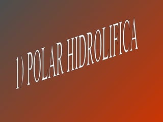 1) POLAR HIDROLIFICA 