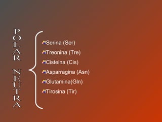 POLAR NEUTRA Serina (Ser)  Treonina (Tre) Cisteina (Cis) Asparragina (Asn) Glutamina(Gln) Tirosina (Tir) 