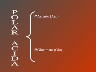 POLAR ACIDA Asparto (Asp) Glutamato (Glu) 