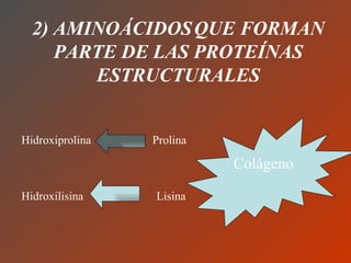 2) AMINOÁCIDOS   QUE FORMAN PARTE DE LAS PROTEÍNAS ESTRUCTURALES Hidroxiprolina  Prolina Hidroxilisina  Lisina Colágeno 