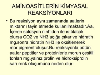 AMİNOASİTLERİN KİMYASAL
REAKSİYONLARI
• Bu reaksiyon aynı zamanında aa.lerin
miktarını tayin etmede kullanılmaktadır.Aa.
İçeren solüsyon ninhidrin ile ısıtılacak
olursa CO2 ve NH3 açığa çıkar ve hidratin
mg.sonra hidratin NH3 ile oksitlenerek
mor pigment oluşur.Bu reaksiyonla bütün
aa.ler peptitler ve proteinlerle morun çeşitli
tonları mg.yalnız prolin ve hidroksiprolin
sarı renk oluşumuna neden olur.
 