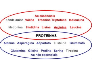 Aa essenciais
 Fenilalanina Valina Treonina Triptofano Isoleucina

  Metionina   Histidina Lisina   Arginina   Leucina

                    PROTEÍNAS

Alanina Asparagina Aspartato     Cisteína   Glutamato

    Glutamina Glicina Prolina Serina Tirosina
               Aa não-essenciais
 