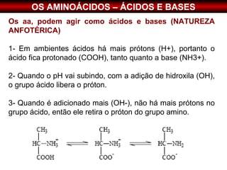 OS AMINOÁCIDOS – ÁCIDOS E BASES
Os aa, podem agir como ácidos e bases (NATUREZA
ANFOTÉRICA)

1- Em ambientes ácidos há mais prótons (H+), portanto o
ácido fica protonado (COOH), tanto quanto a base (NH3+).

2- Quando o pH vai subindo, com a adição de hidroxila (OH),
o grupo ácido libera o próton.

3- Quando é adicionado mais (OH-), não há mais prótons no
grupo ácido, então ele retira o próton do grupo amino.
 