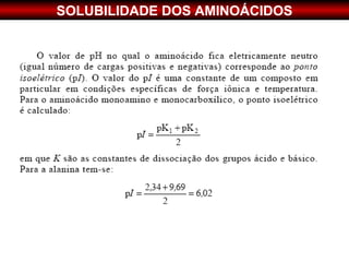 SOLUBILIDADE DOS AMINOÁCIDOS
 