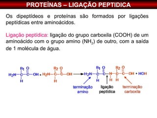 PROTEÍNAS – LIGAÇÃO PEPTIDICA
Os dipeptídeos e proteínas são formados por ligações
peptídicas entre aminoácidos.

Ligação peptídica: ligação do grupo carboxila (COOH) de um
aminoácido com o grupo amino (NH2) de outro, com a saída
de 1 molécula de água.
 