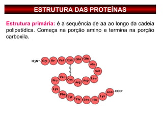 ESTRUTURA DAS PROTEÍNAS

Estrutura primária: é a sequência de aa ao longo da cadeia
polipetídica. Começa na porção amino e termina na porção
carboxila.
 
